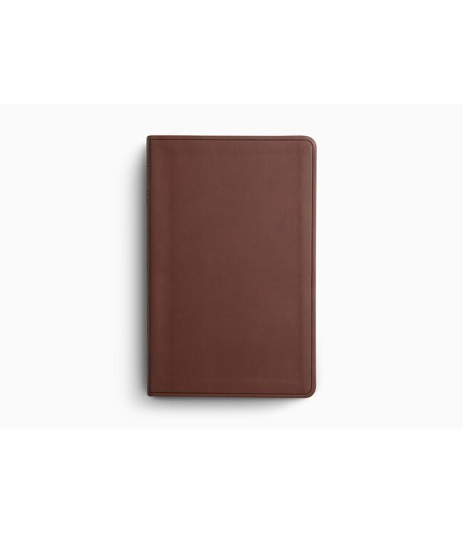 ESV Large Print Value Thinline Bible-Chestnut TruTone