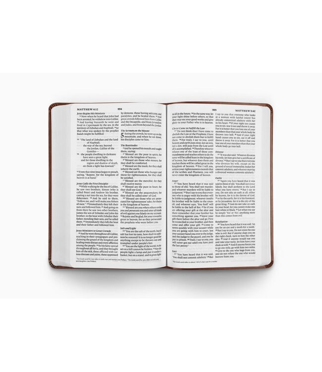 ESV Large Print Value Thinline Bible-Chestnut TruTone