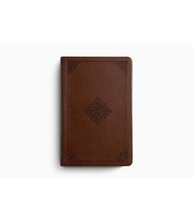 ESV Large Print Value Thinline Bible-Tan Ornament Design TruTone
