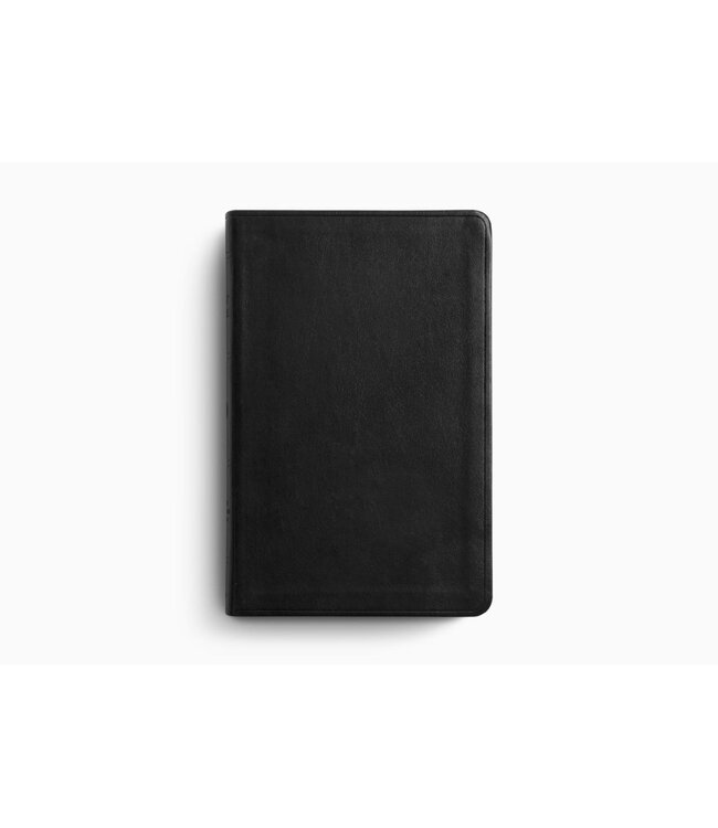 ESV Large Print Value Thinline Bible-Black TruTone