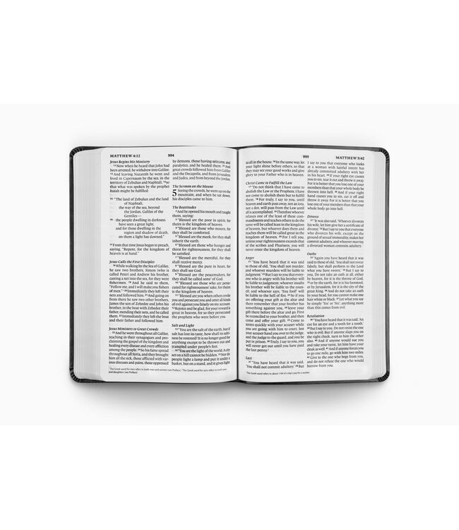 ESV Large Print Value Thinline Bible-Black TruTone