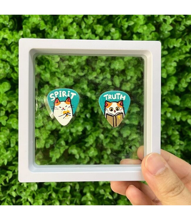 SPIRIT & TRUTH 結他Pick