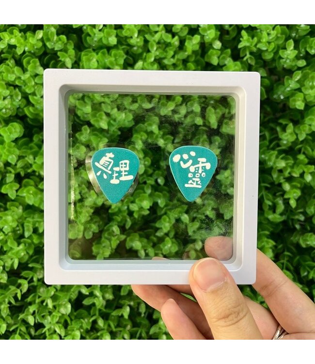 SPIRIT & TRUTH 結他Pick