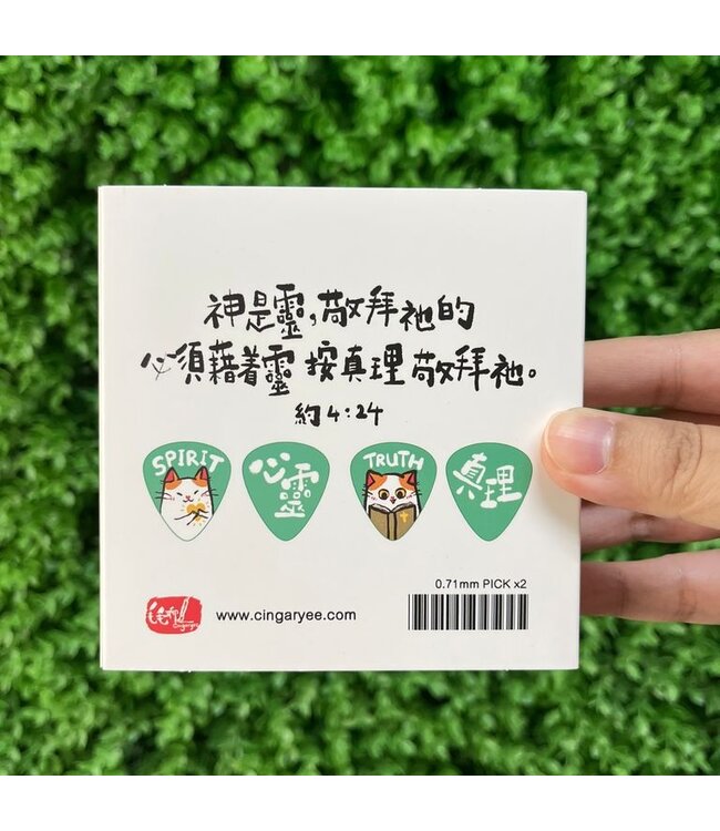SPIRIT & TRUTH 結他Pick