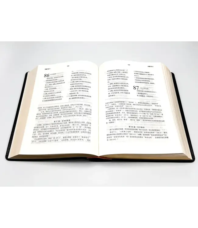 圣经．和合本．灵修导读本．黑色皮面（简体）