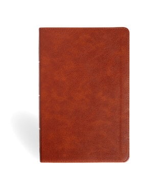 Holman Bible Publishers NASB Personal Size Giant Print Bible, Burnt Sienna LeatherTouch Indexed