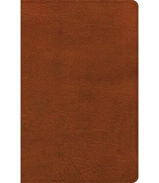 Holman Bible Publishers NASB Large Print Thinline Bible-Burnt Sienna LeatherTouch