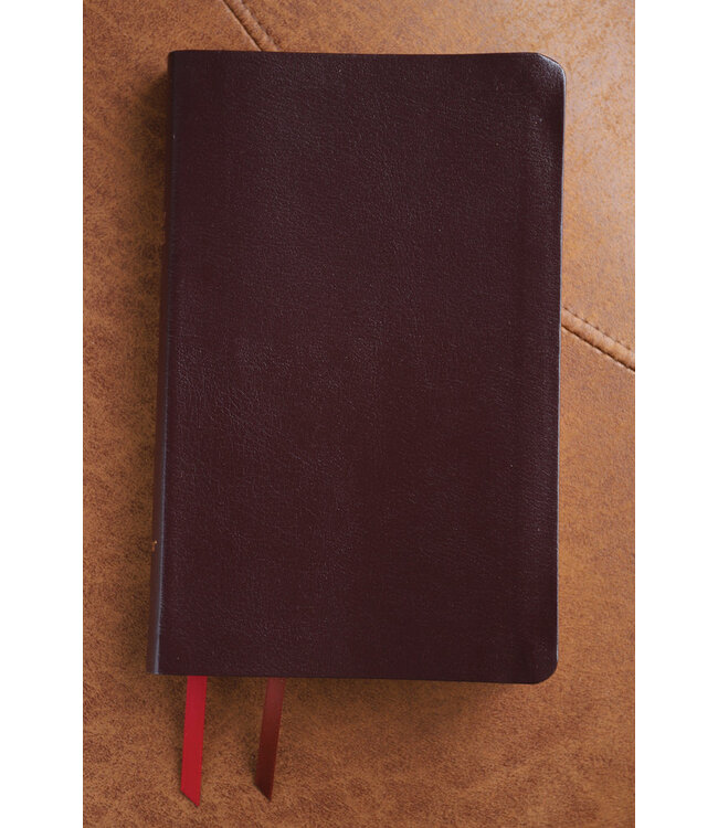 NIV Thinline Bible (Comfort Print)-Burgundy Bonded Leather Indexed
