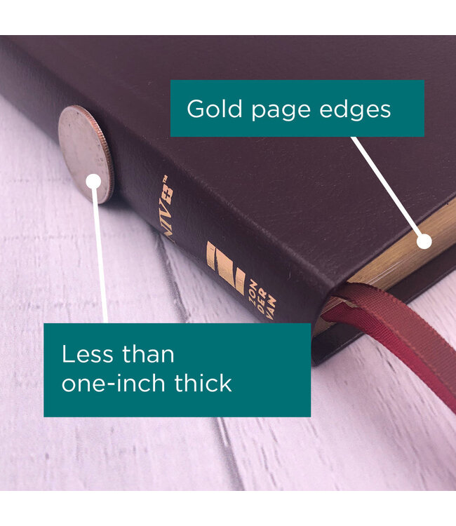 NIV Thinline Bible (Comfort Print)-Burgundy Bonded Leather Indexed