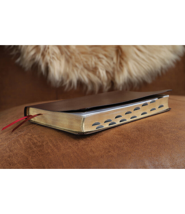 NIV Thinline Bible (Comfort Print)-Burgundy Bonded Leather Indexed