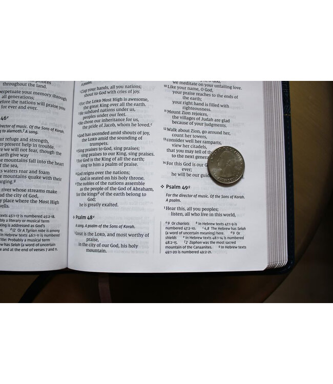 NIV Thinline Bible (Comfort Print)-Burgundy Bonded Leather Indexed