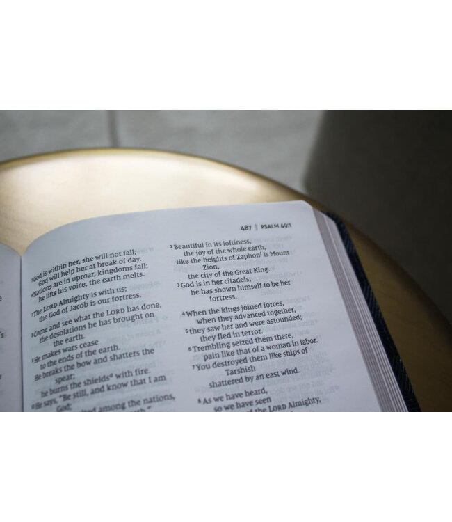 NIV Thinline Bible (Comfort Print)-Burgundy Bonded Leather Indexed