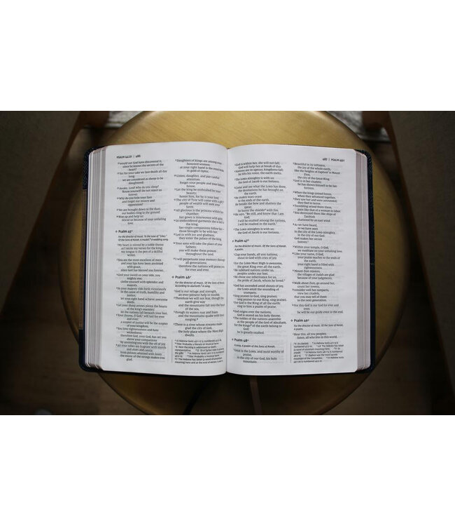 NIV Thinline Bible (Comfort Print)-Burgundy Bonded Leather Indexed