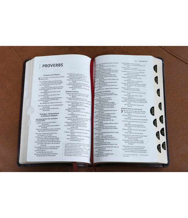 NIV Thinline Bible (Comfort Print)-Burgundy Bonded Leather Indexed