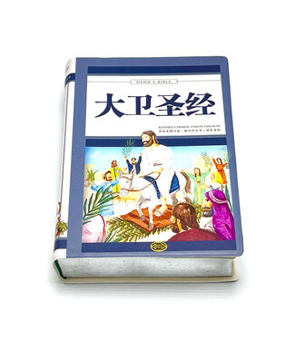 基督使者協會 Ambassadors for Christ 大衛聖經．和合本修訂版．新舊約全書．拼音聖經．銀邊拇指索引（簡體）