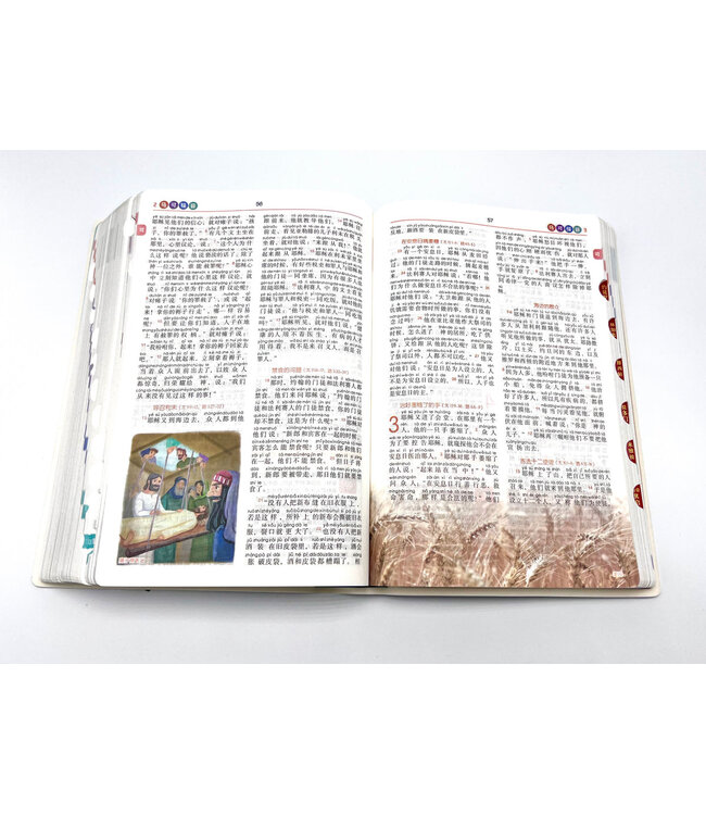 大卫圣经．和合本修订版．新旧约全书．拼音圣经．银边拇指索引（简体）
