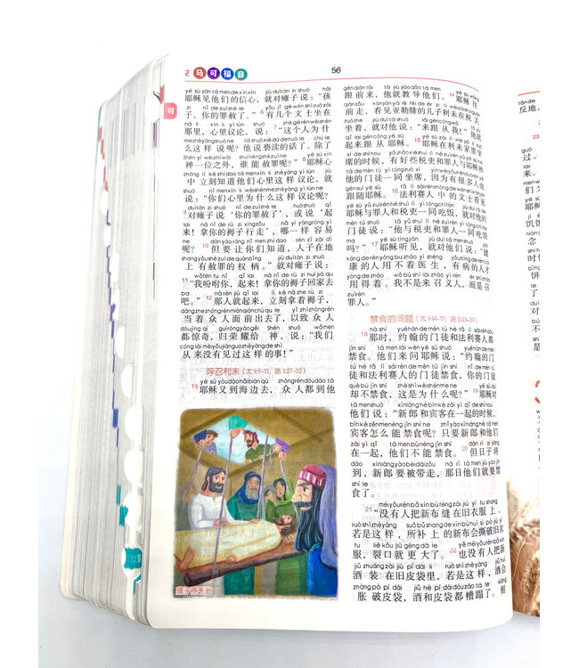 大卫圣经．和合本修订版．新旧约全书．拼音圣经．银边拇指索引（简体）