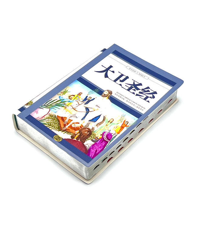 大卫圣经．和合本修订版．新旧约全书．拼音圣经．银边拇指索引（简体）