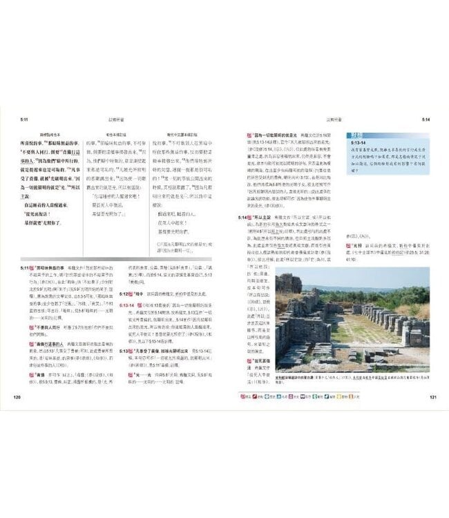 聖經研讀本（新標點和合本）系列（神版）：以弗所書（繁體）