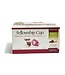 Fellowship Cup - prefilled communion cups - juice and wafer - 500 Count Box | 預裝聖餐杯（500 個裝）：內含果汁與聖餐餅