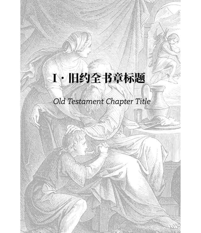 圣经诗绎（简体／精装）