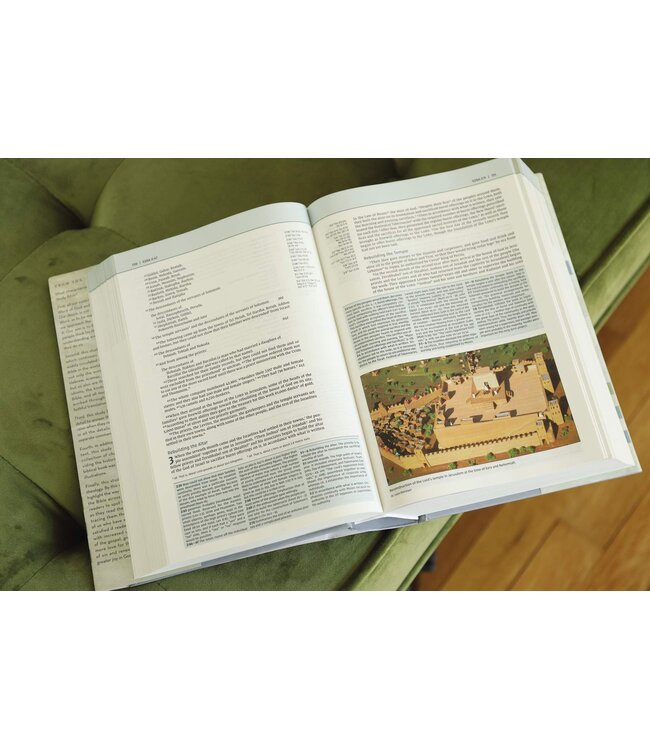 NIV Biblical Theology Study Bible (Comfort Print)-Hardcover
