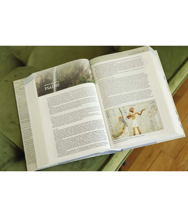 NIV Biblical Theology Study Bible (Comfort Print)-Hardcover