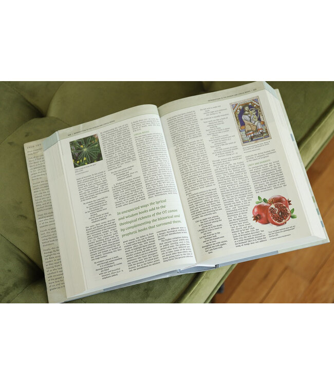 NIV Biblical Theology Study Bible (Comfort Print)-Hardcover
