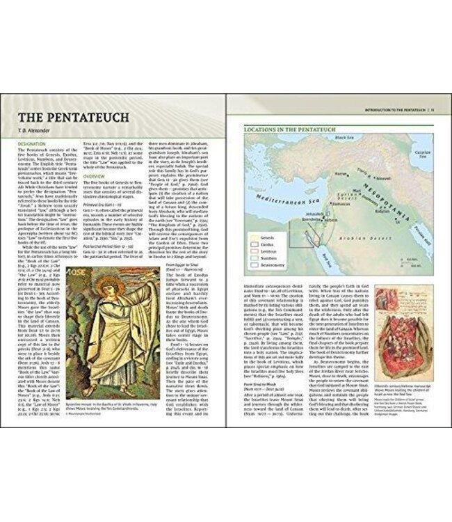 NIV Biblical Theology Study Bible (Comfort Print)-Hardcover
