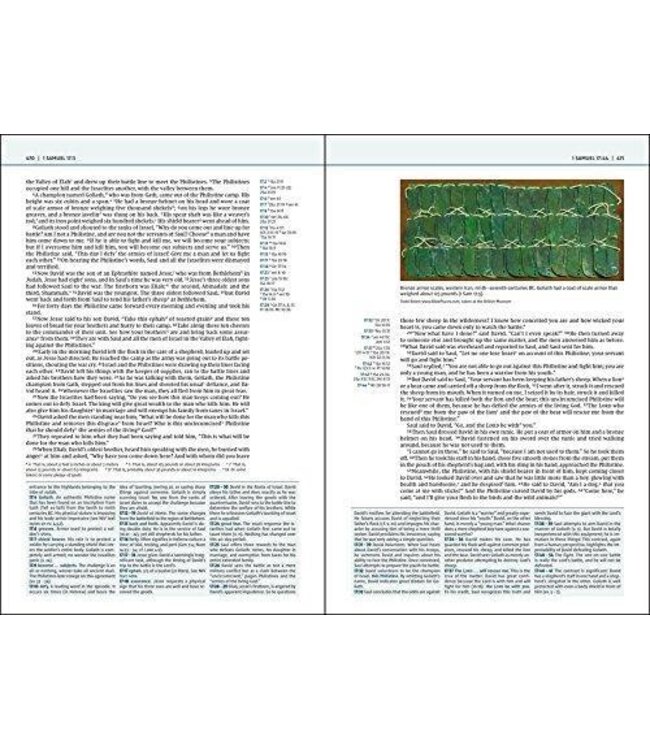 NIV Biblical Theology Study Bible (Comfort Print)-Hardcover