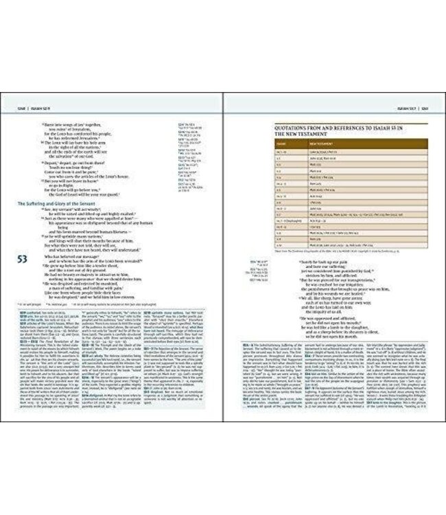 NIV Biblical Theology Study Bible (Comfort Print)-Hardcover