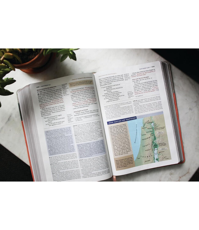 NIV Application Bible, Red Letter, Comfort Print, Hardcover