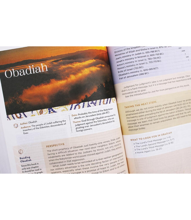 NIV Application Bible, Red Letter, Comfort Print, Hardcover