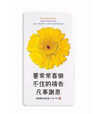 信望愛書房 Faith Hope Love Bookstore 座枱擺設 C3005 要常常喜樂