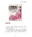 春江日月明：八十年代回忆录（简体）