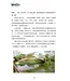 春江日月明：八十年代回忆录（简体）