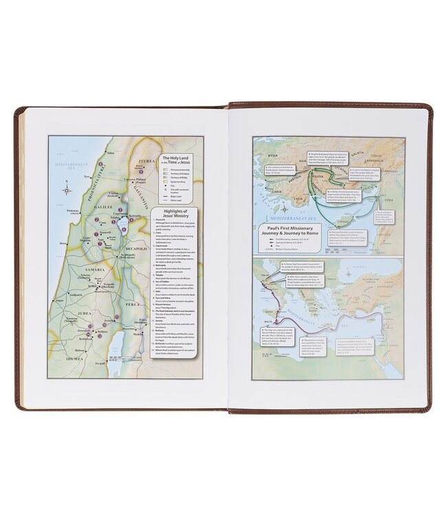 Antiqued Brown Faux Leather Large Print Thinline King James Version Bible with Thumb Index