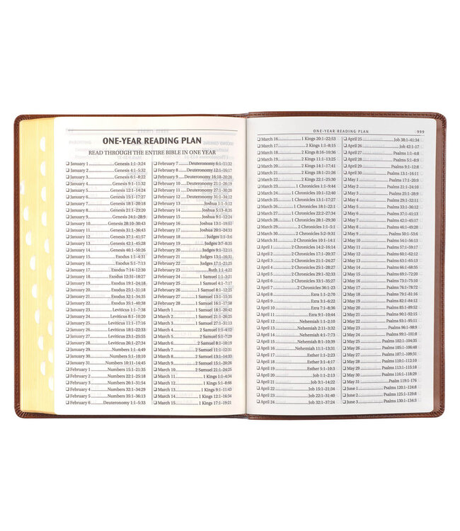 Antiqued Brown Faux Leather Large Print Thinline King James Version Bible with Thumb Index