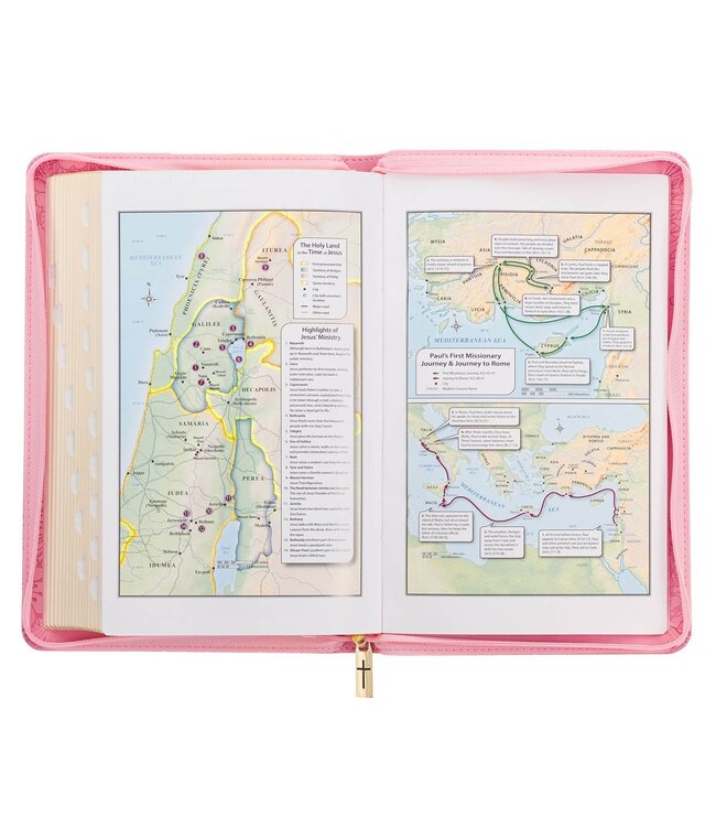 Blossom Pink Faux Leather King James Version Deluxe Gift Bible with Thumb Index and Zippered Closure
