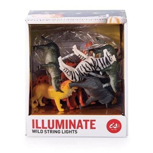 Illuminate - Wild String Lights Illuminate - Wild String Lights