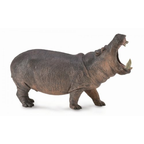 Collecta Collecta Hippoptamus Collecta Collecta Hippoptamus