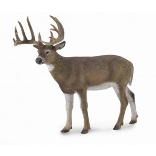 Collecta White- Tailed Deer Collecta White- Tailed Deer