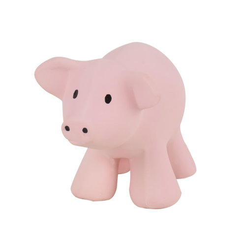 Farm Animal - Pig Farm Animal - Pig