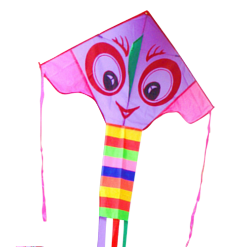 Bright Eyes Kite Bright Eyes Kite