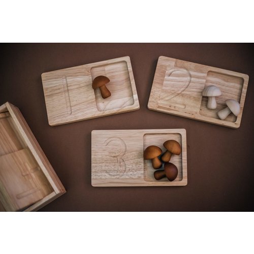Jumbo Counting Trays Jumbo Counting Trays
