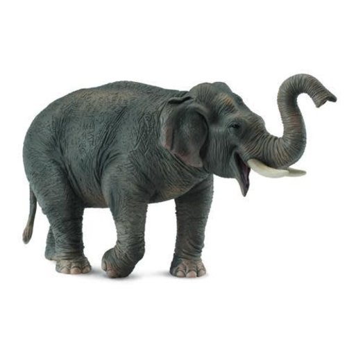 Collecta Collecta Asian Elephant Collecta Collecta Asian Elephant