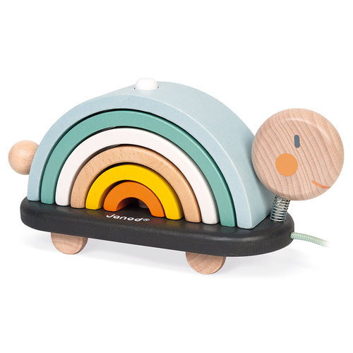 Cocoon Rainbow Turtle Cocoon Rainbow Turtle