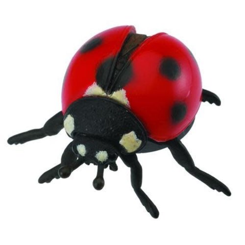 Collecta Ladybird Collecta Collecta Ladybird Collecta