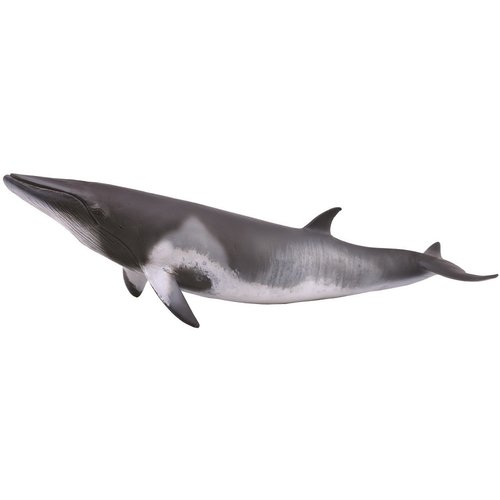 Collecta Minke Whale Collecta Minke Whale