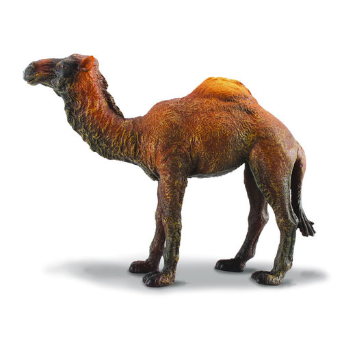 Collecta Dromedary Camel Collecta Dromedary Camel